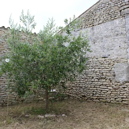 Ile D'oleron 17 - Georges D'oleron - Maison 18 Couchages Sgo000-129 *